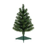 Tree Thuja